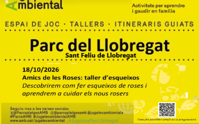 Com fer esqueixos a la tardor per reproduir un roser en el taller del Parc del Llobregat